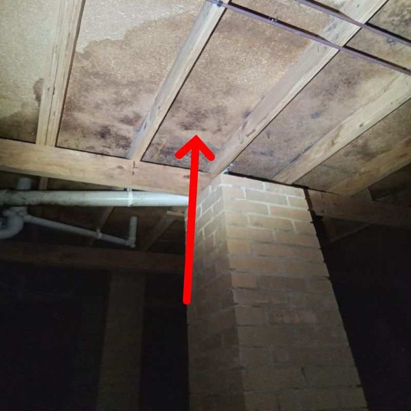 Moisture and Mould in the Subfloor Area